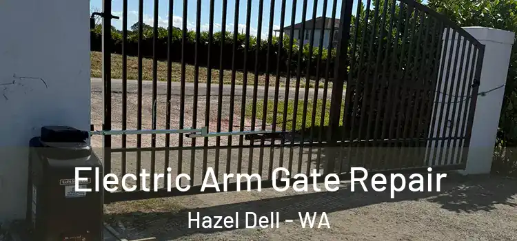 Electric Arm Gate Repair Hazel Dell - WA