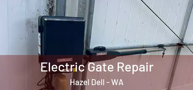  Electric Gate Repair Hazel Dell - WA