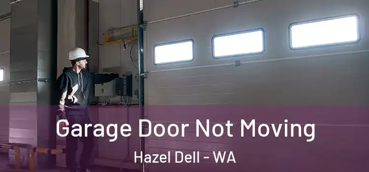  Garage Door Not Moving Hazel Dell - WA