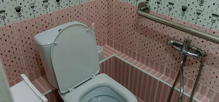 Meeting Diverse Needs With Accessible Restroom Solutions in Hazel Dell, WA