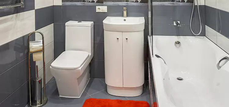 Hansgrohe Shaving Mirror Hazel Dell